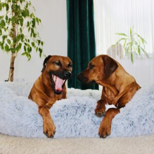 IronDog óriás kutyafekhely