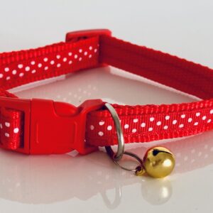 IronDog vékony nyakörv – piros