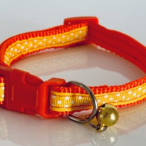 IronDog vékony nyakörv – narancssárga